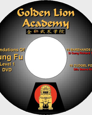 Kung Fu Foundation Techniques Exercises on DVD