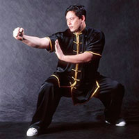 Nan Quan Southern Fist Wushu