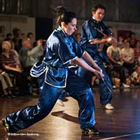 wu shu sword form