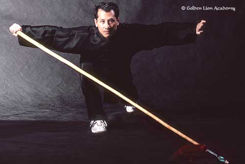 sifu steeve wushu spear form