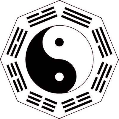 kung fu panda ying yang