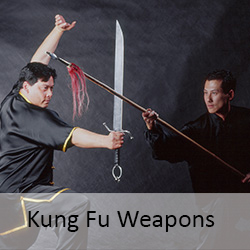 kung fu weapons training