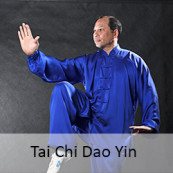 Golden lion Kung Fu Tai Chi Academy Berwick Murrumbeena Melbourne ...